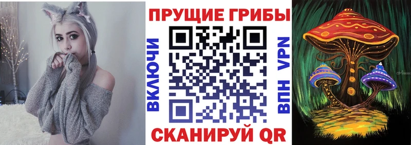 Галлюциногенные грибы мухоморы  где купить наркоту  Дрезна 