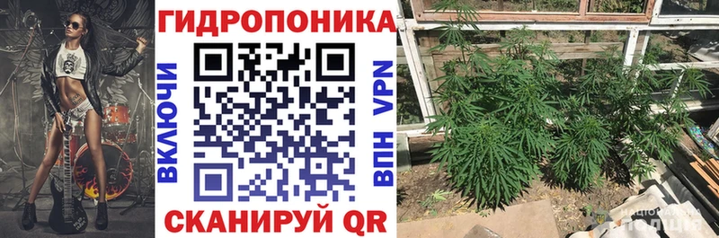МЕГА ссылки купить наркотики сайты Дрезна Бошки марихуана VHQ